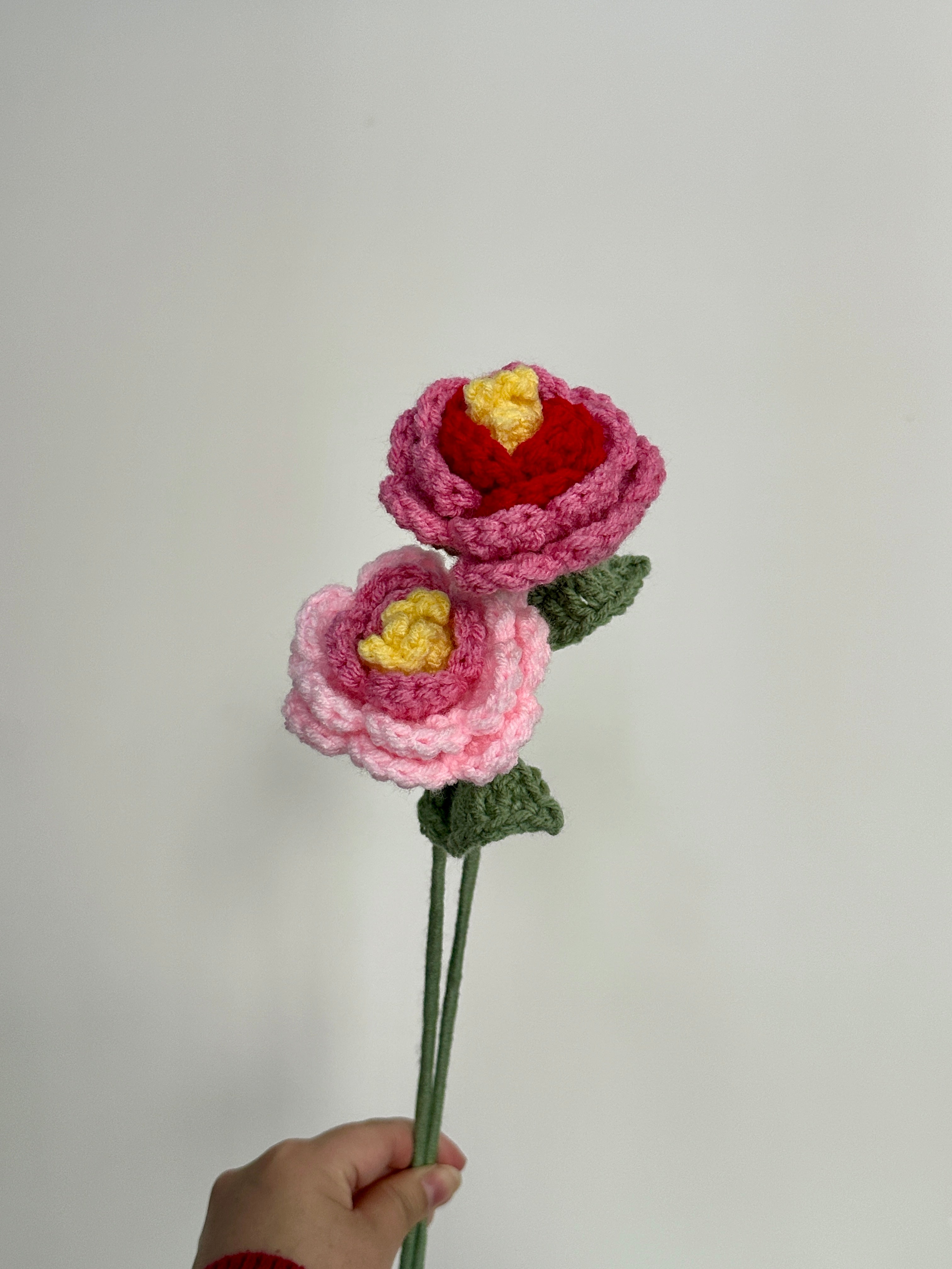 Crochet Peonies (Handmade Multi-coloured flowers)