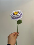 Crochet Peonies (Handmade Multi-coloured flowers)